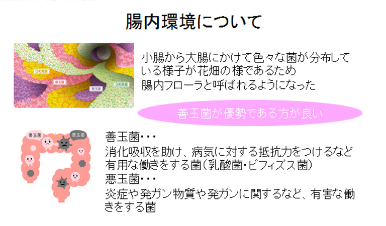 スライド