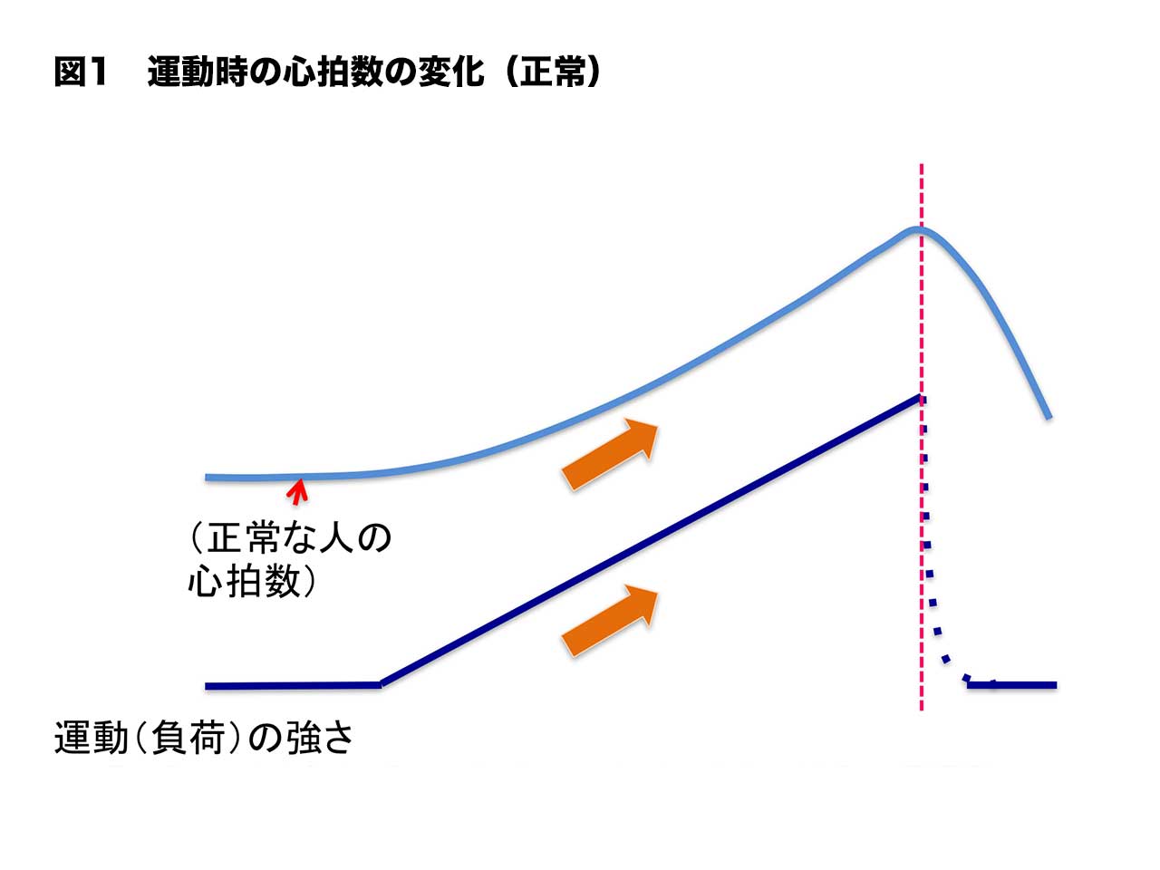図1