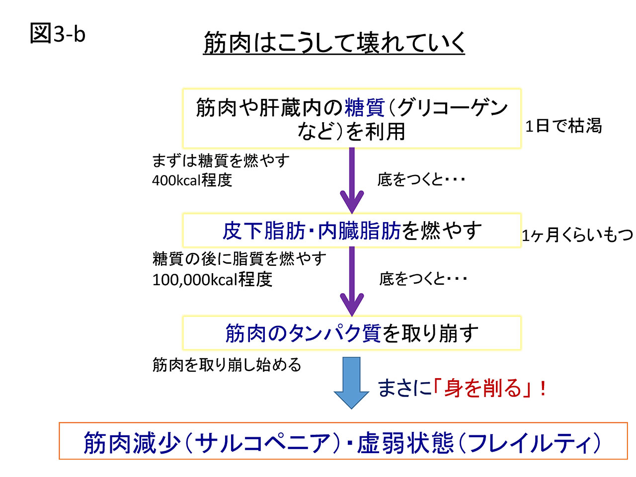 図3b