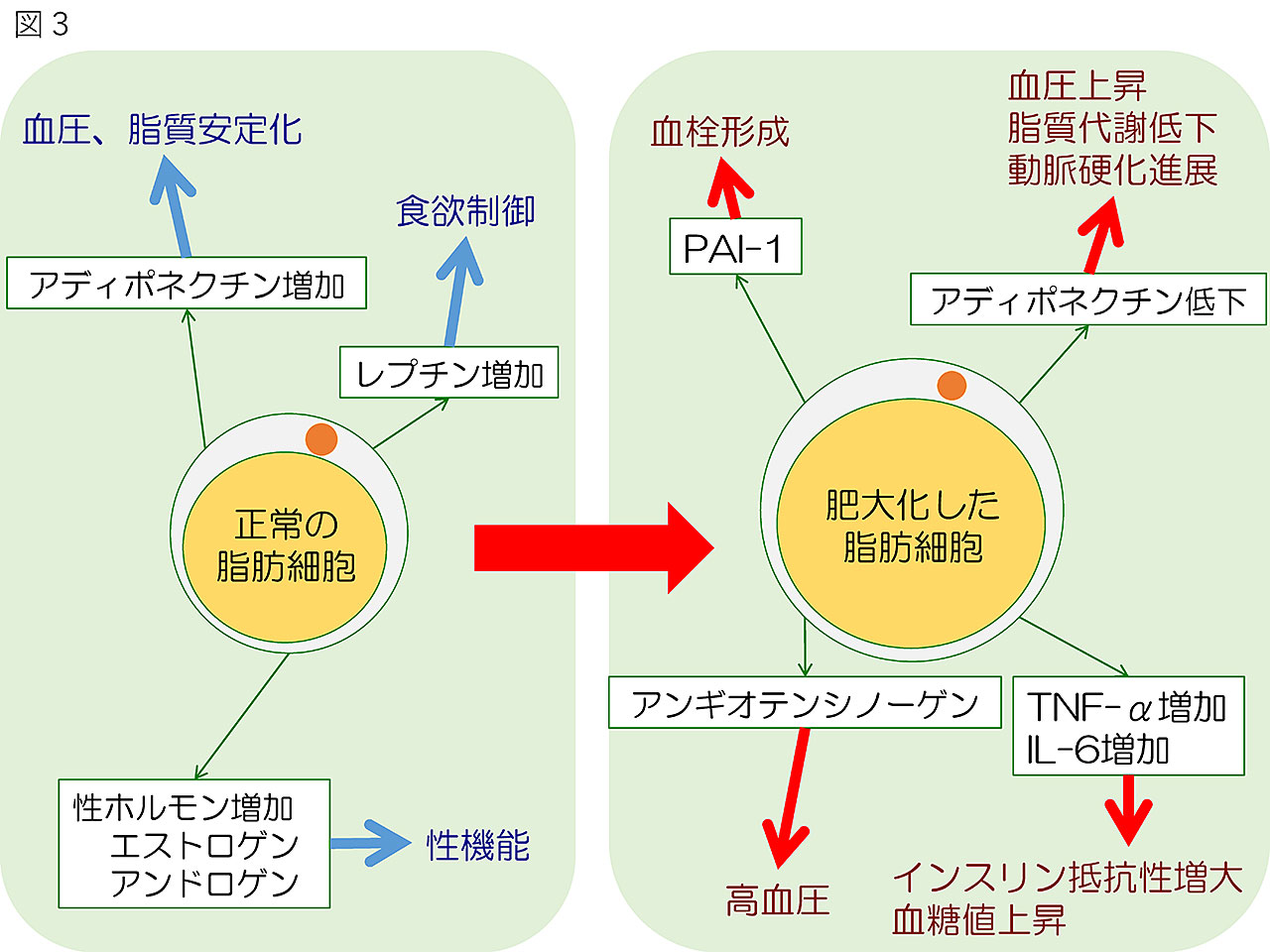 図3
