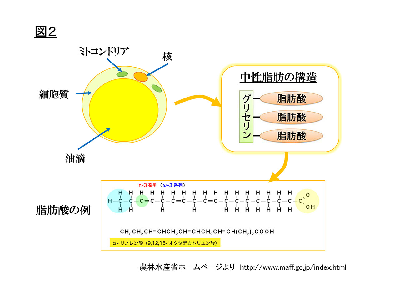 図2