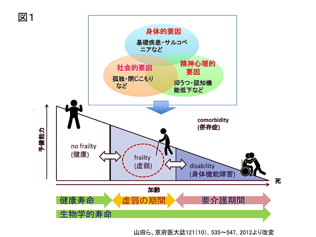 図1