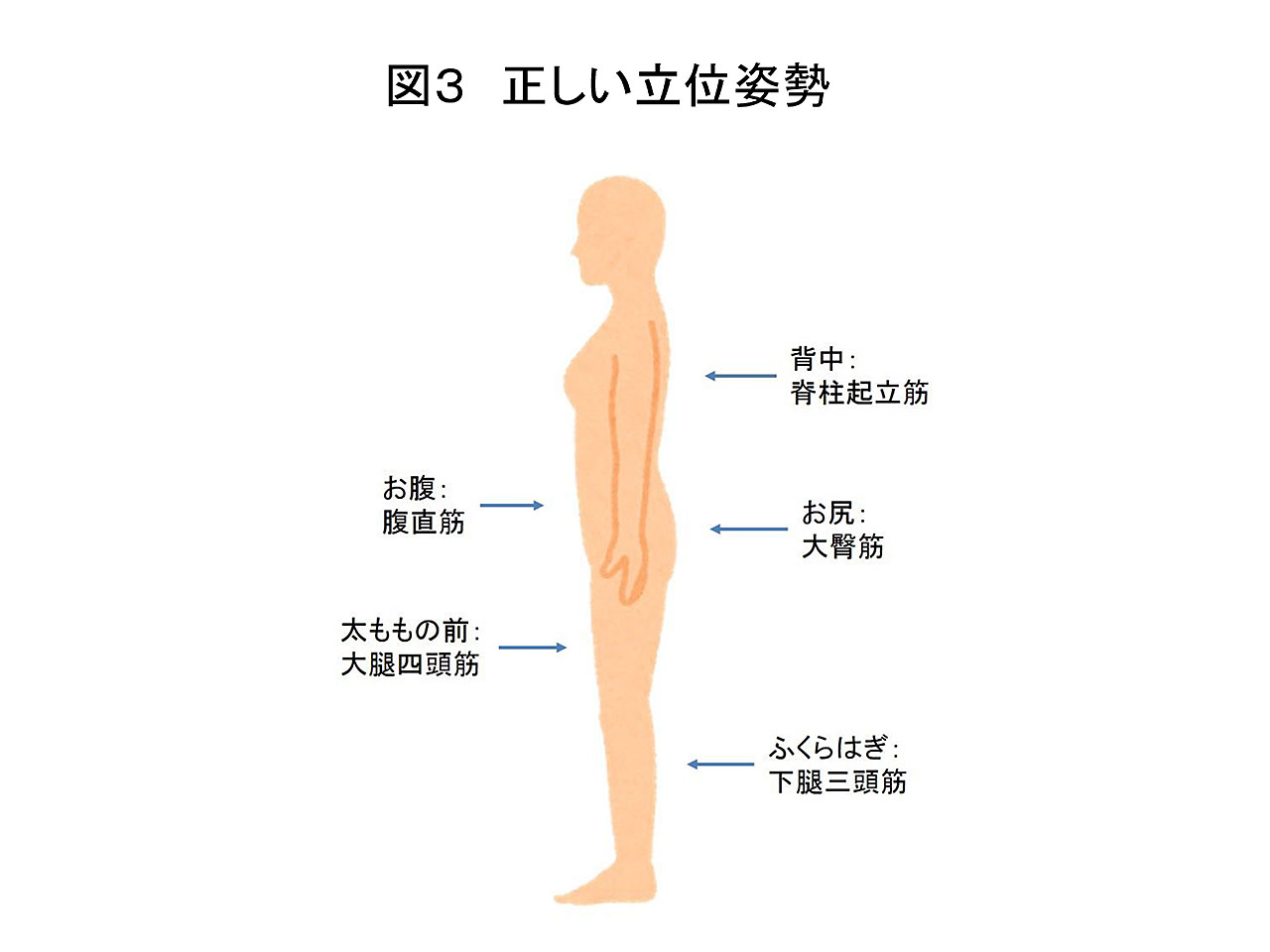 図3
