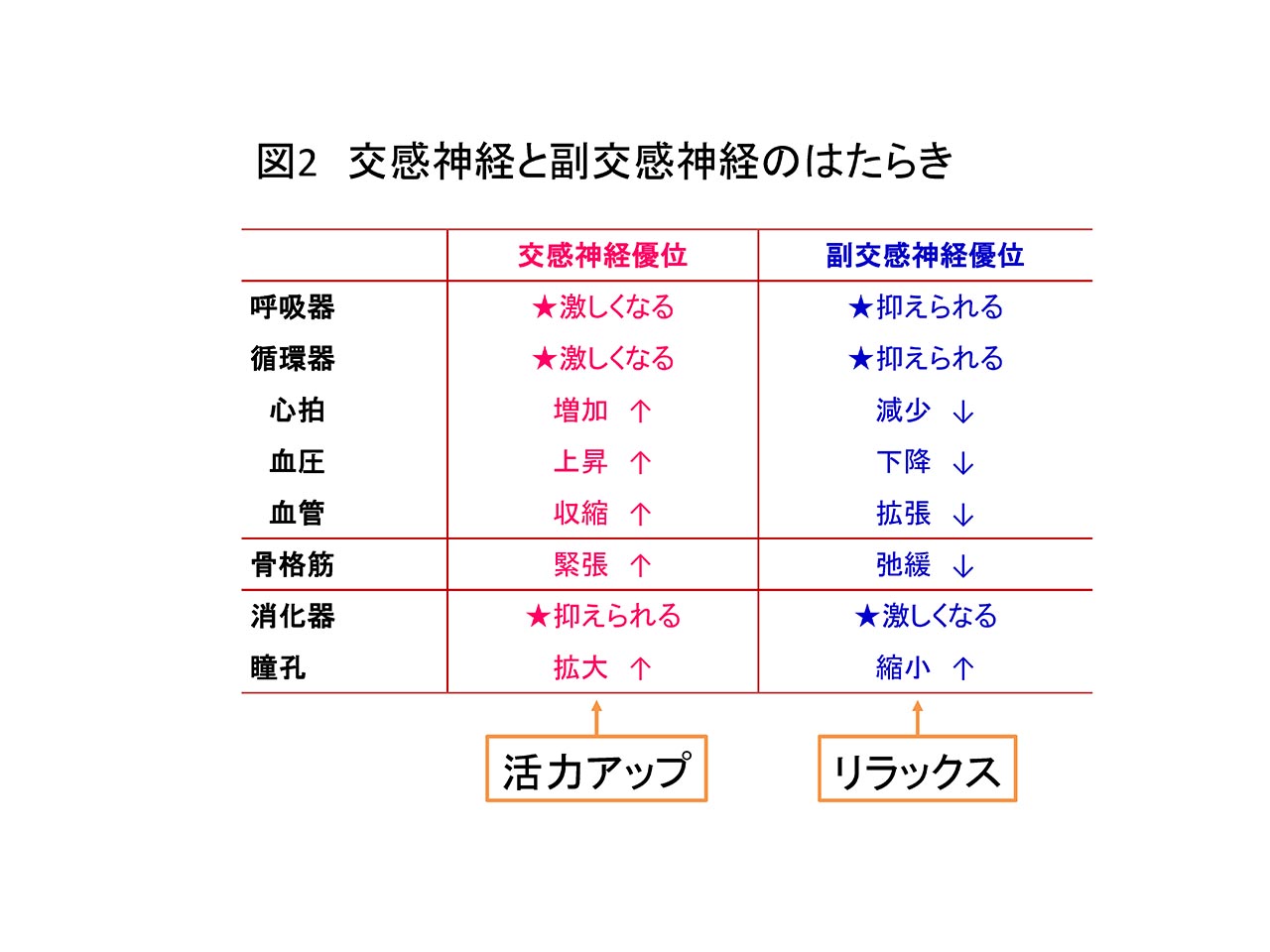 図2