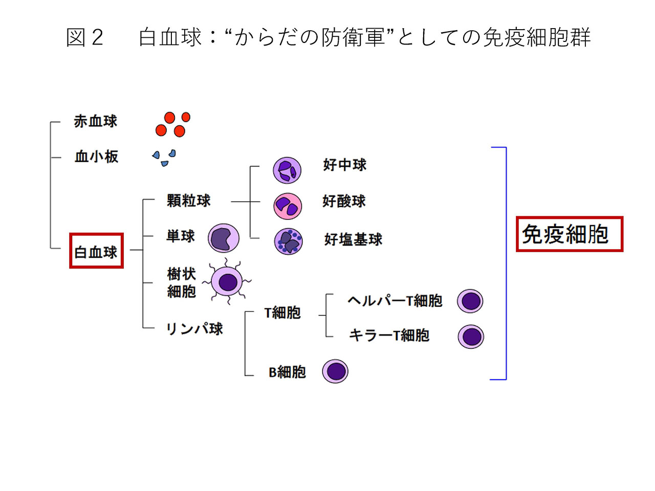 図2