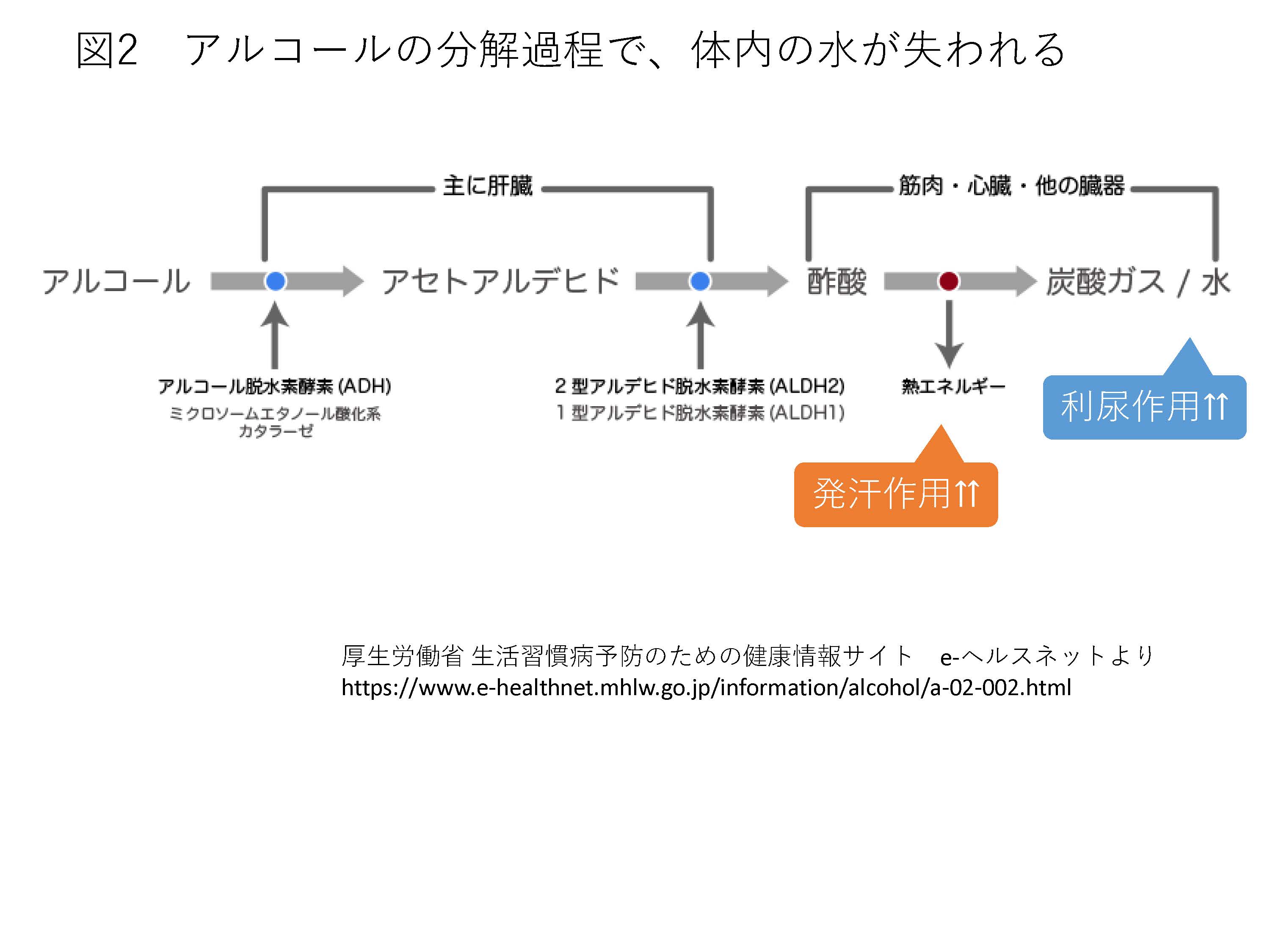 図2