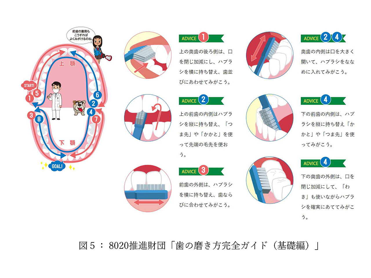 図5