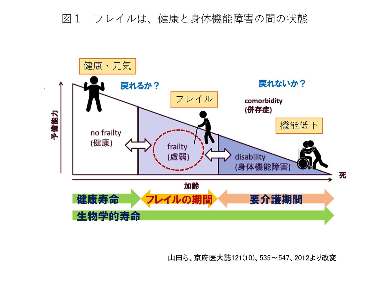 図1