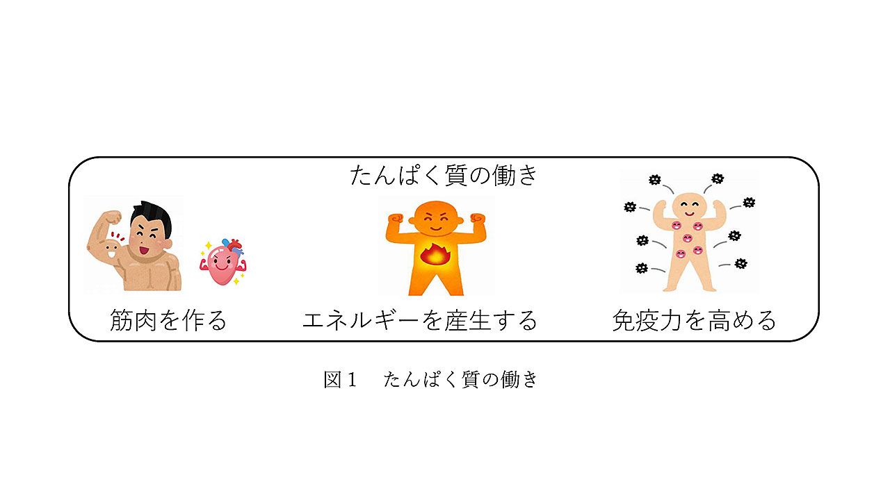 図1