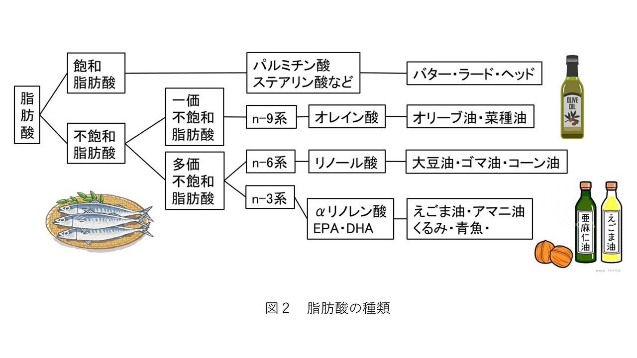図2
