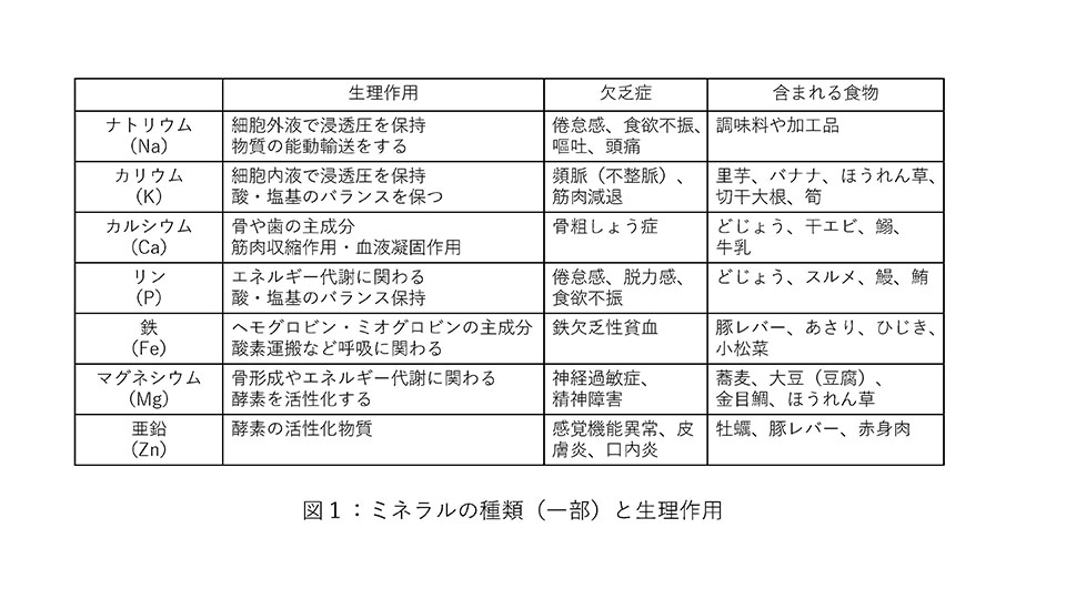 図1:ミネラルの種類(一部)と生理作用