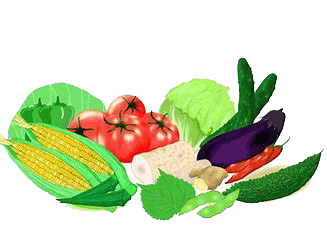 イラスト