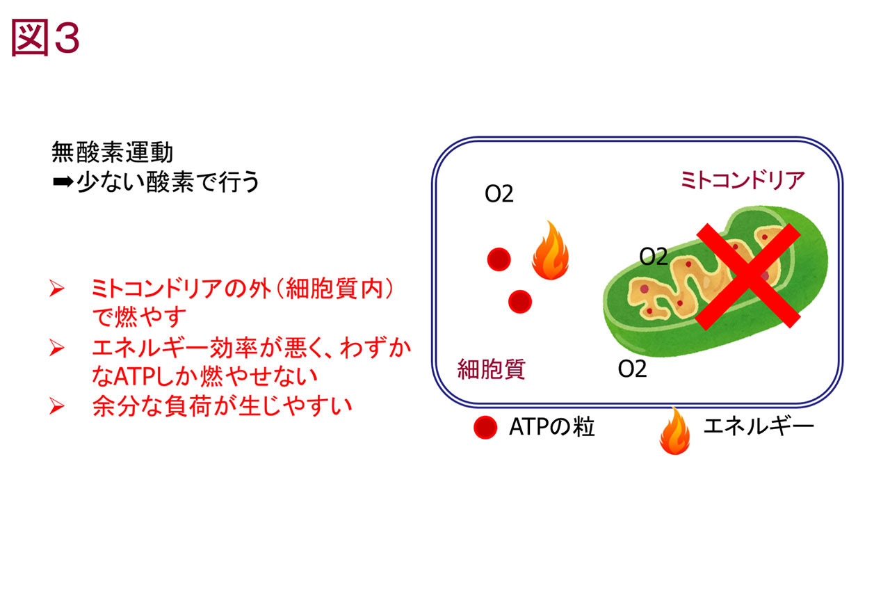 図1